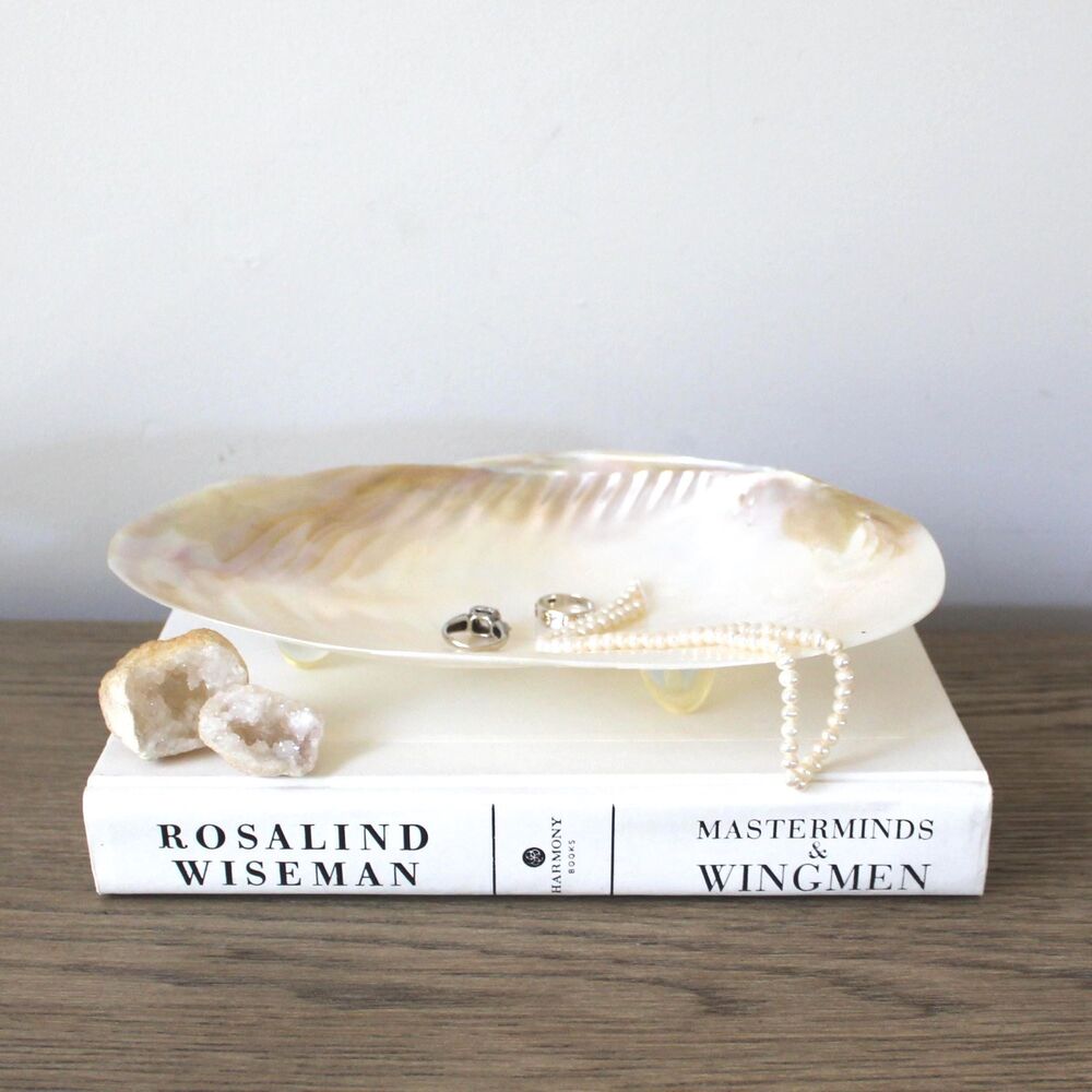 Vintage Genuine Seashell Dish Shell Jewelry Vanity Catchall Seashell Soap Dish
